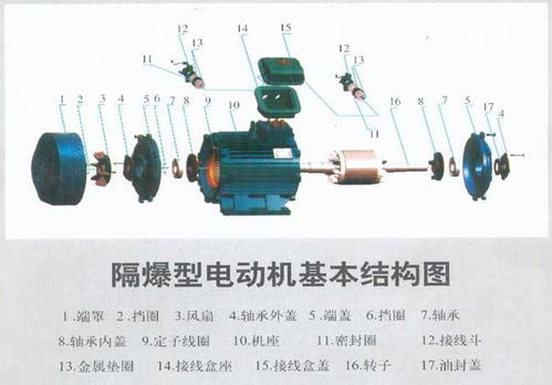 防爆电机结构图解及接线实物图